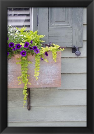 Framed Pastel Windows V Print