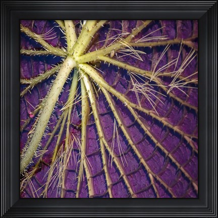Framed Cropped Garden Leaves IV Print