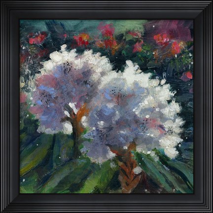 Framed Rhododendron Portrait I Print
