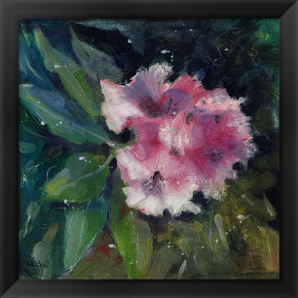 Framed Rhododendron Portrait II Print