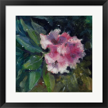 Framed Rhododendron Portrait II Print