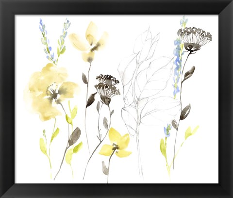 Framed Wild Flowers &amp; Contour II Print