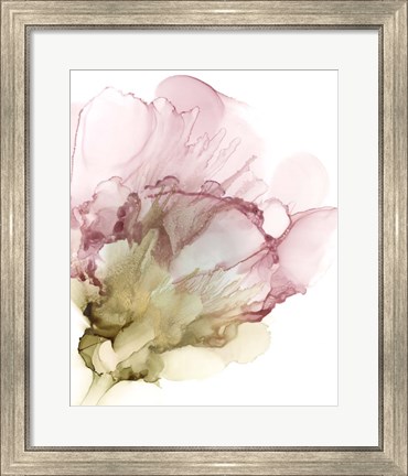 Framed Flowering Pink II Print