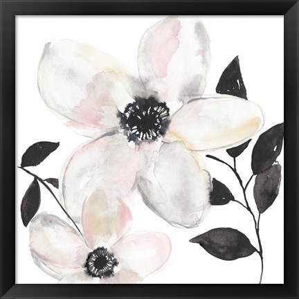 Framed Black &amp; Blush Anemone II Print