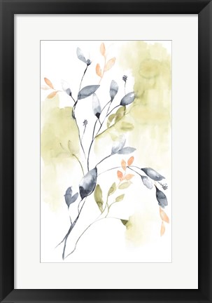 Framed Sweet Leaves II Print