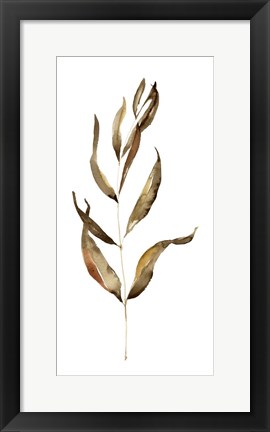 Framed Autumn Stem I Print