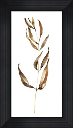 Framed Autumn Stem II Print
