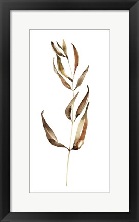 Framed Autumn Stem II Print