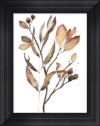 Framed Autumn&#39;s Bundle II Print