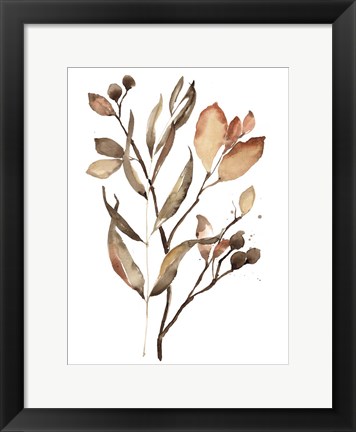Framed Autumn&#39;s Bundle II Print