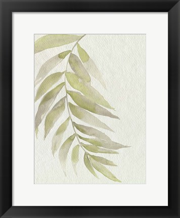 Framed Whispering Palm II Print