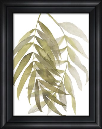 Framed Palm Embrace II Print
