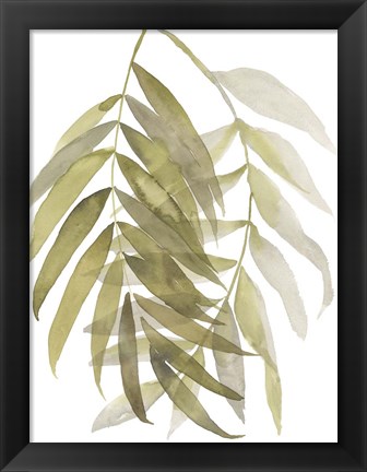 Framed Palm Embrace II Print