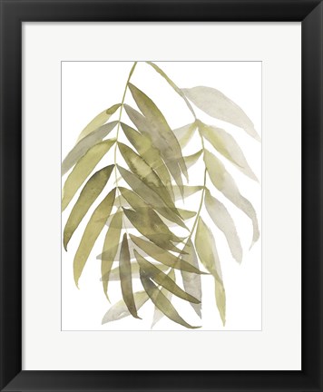 Framed Palm Embrace II Print