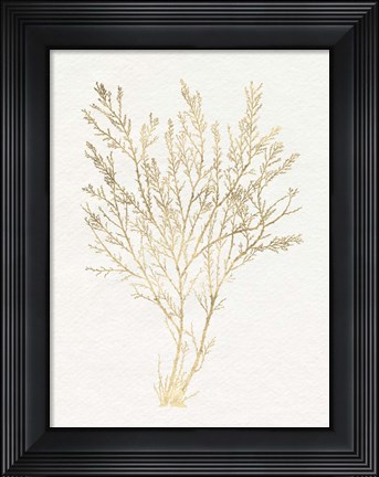 Framed Gilded Algae I Print