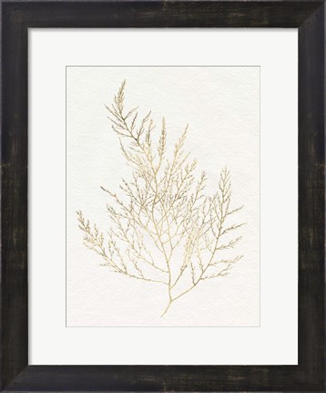 Framed Gilded Algae II Print