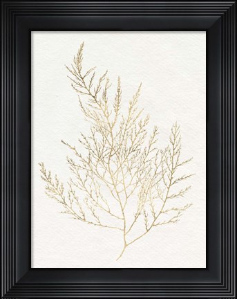 Framed Gilded Algae II Print