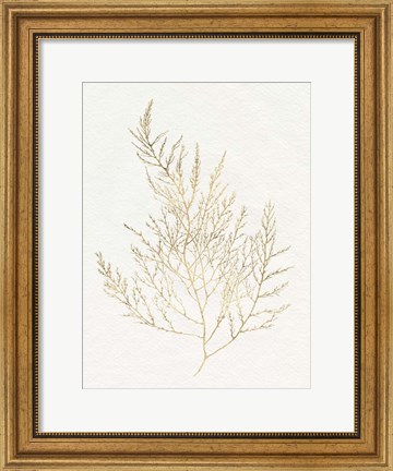 Framed Gilded Algae II Print