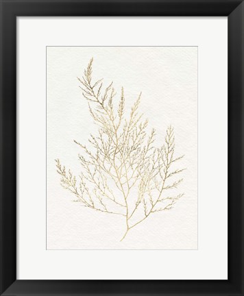 Framed Gilded Algae II Print