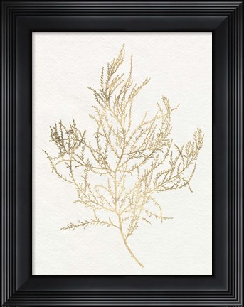 Framed Gilded Algae III Print