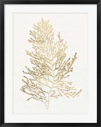 Framed Gilded Algae IV Print