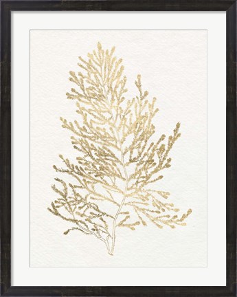 Framed Gilded Algae IV Print