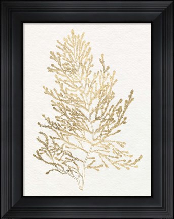 Framed Gilded Algae IV Print