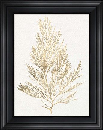 Framed Gilded Algae V Print