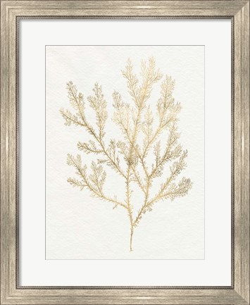 Framed Gilded Algae VI Print