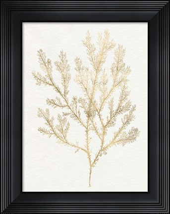 Framed Gilded Algae VI Print