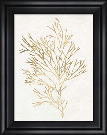Framed Gilded Algae VII Print