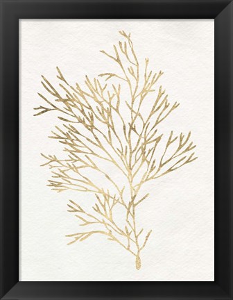 Framed Gilded Algae VII Print