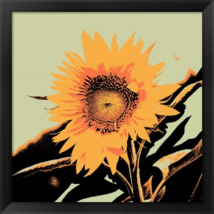 Framed Pop Art Sunflower II Print