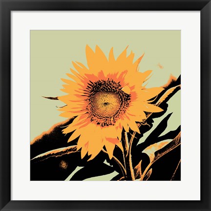 Framed Pop Art Sunflower II Print