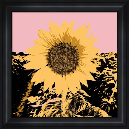 Framed Pop Art Sunflower III Print