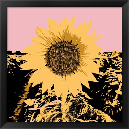 Framed Pop Art Sunflower III Print