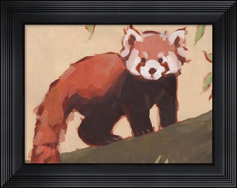 Framed Red Panda I Print