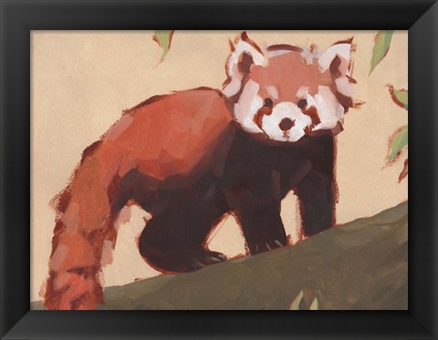 Framed Red Panda I Print