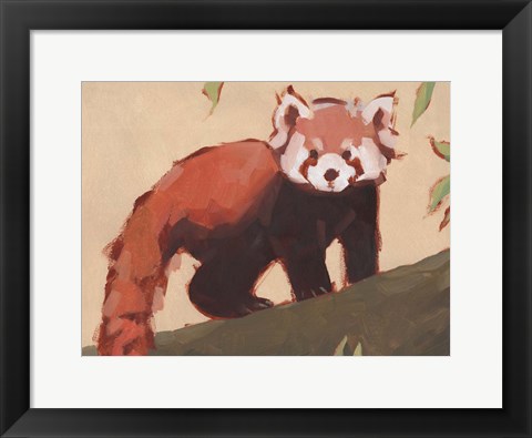 Framed Red Panda I Print