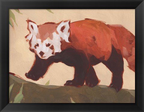 Framed Red Panda II Print