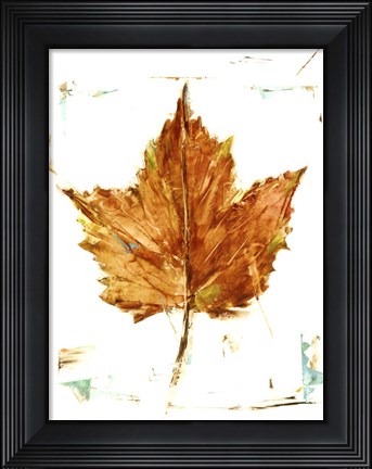 Framed Autumn Leaf Study I Print