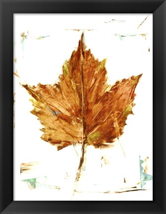 Framed Autumn Leaf Study I Print