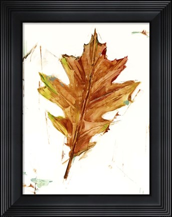Framed Autumn Leaf Study II Print