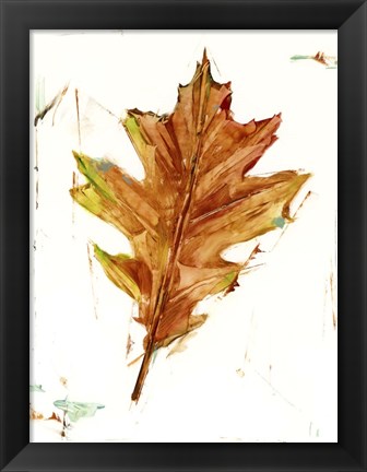 Framed Autumn Leaf Study II Print