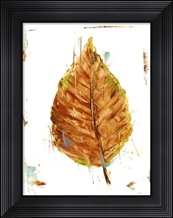 Framed Autumn Leaf Study III Print