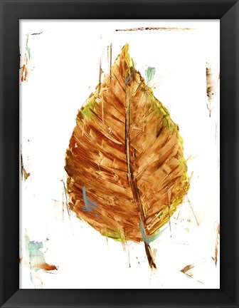 Framed Autumn Leaf Study III Print