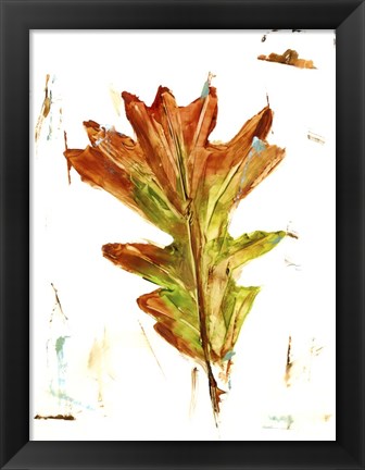 Framed Autumn Leaf Study IV Print