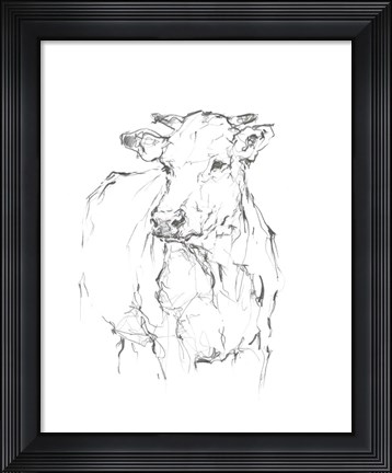 Framed Bovine Quick Study II Print