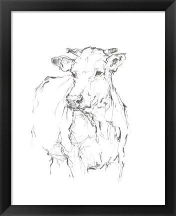 Framed Bovine Quick Study II Print