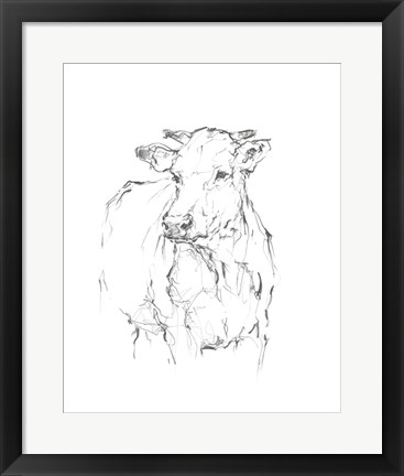 Framed Bovine Quick Study II Print